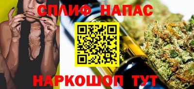 индика Пенза