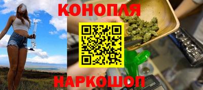 индика Пенза